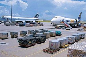 Import business